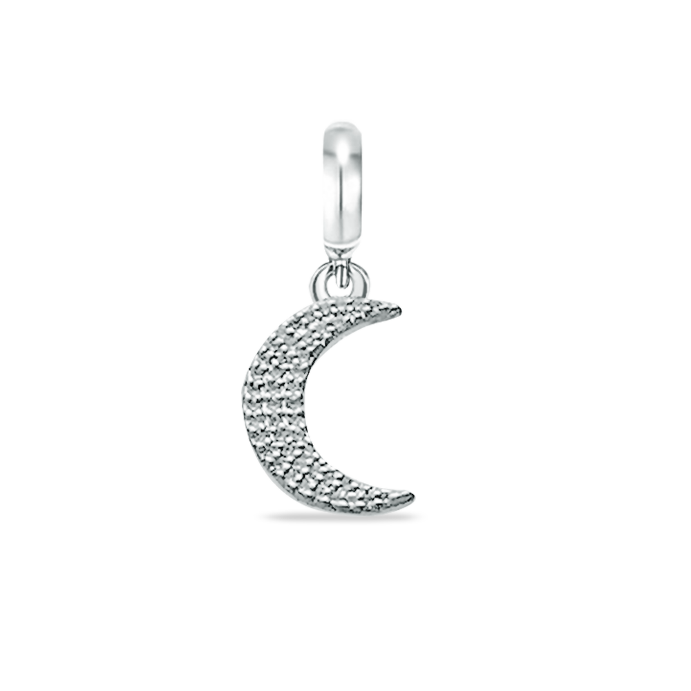 Enchanted Moon Dangle Charm