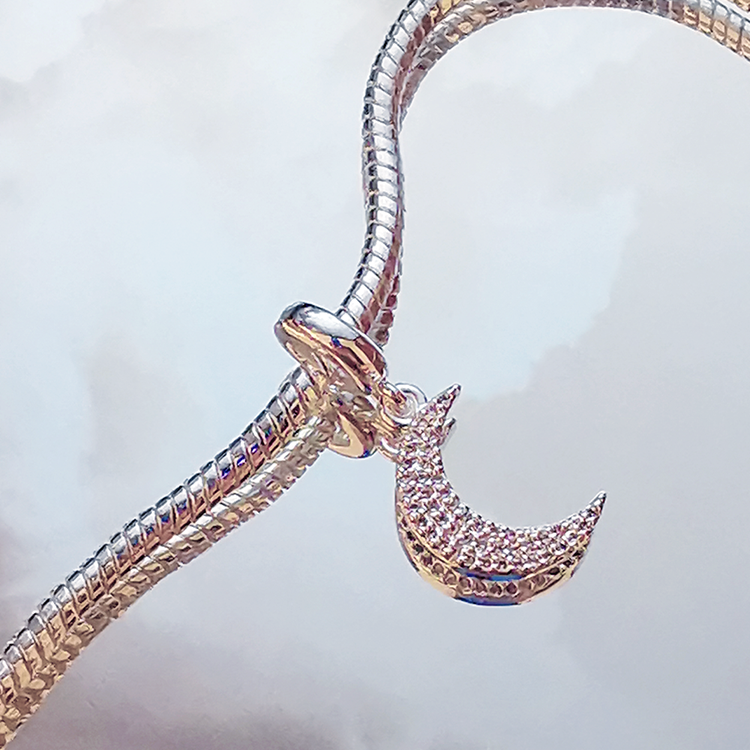 Charm Bracelet in Silver